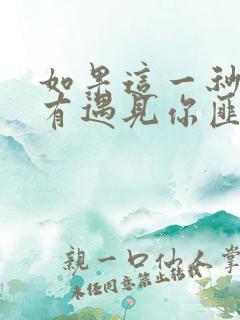 如果这一秒我没有遇见你匪我思存