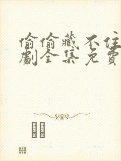 偷偷藏不住电视剧全集免费收看