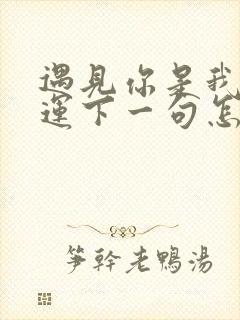 遇见你是我的幸运下一句怎么回答