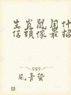 生肖鼠用什么微信头像最招财