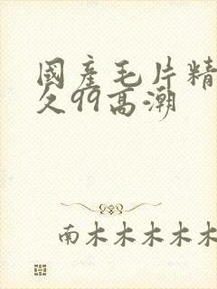 国产毛片精品久久99高潮