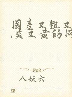 国产又粗又猛又,爽又黄的网站