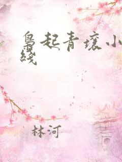 枭起青壤小说在线