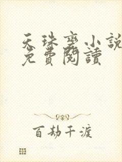 天珠变小说在线免费阅读