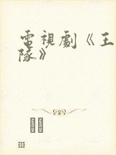 电视剧《王牌部队》