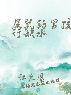 属鼠的男孩名五行缺水