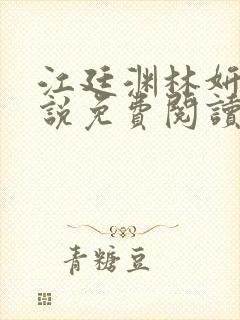 江廷渊林妍的小说免费阅读全文