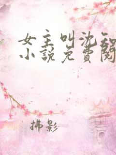 女主叫沈知薇的小说免费阅读