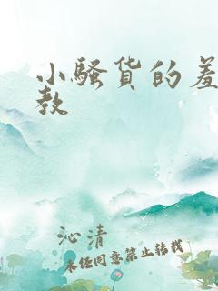 小骚货的羞耻调教