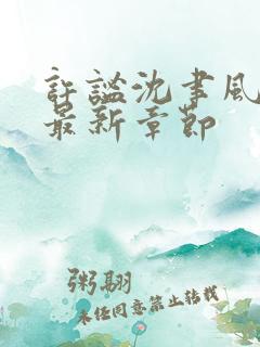 许谧沈聿风小说最新章节