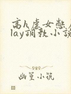 高h虐女憋尿play调教小说