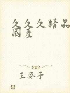 久久久精品日韩国产