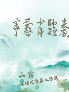 完蛋少帅夫人成了替身短剧大结局