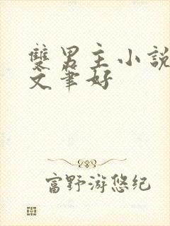 双男主小说推荐文笔好