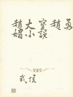 赵大宝赵勇和苏媚小说