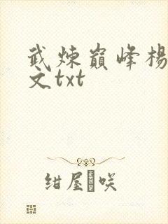 武炼巅峰杨开全文txt