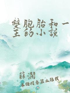 双胞胎和一个女主的小说