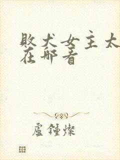 败犬女主太多了在哪看