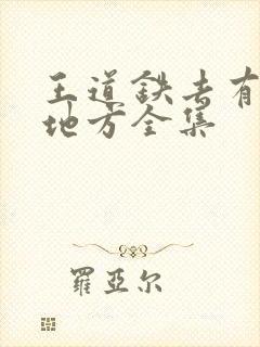 王道铁去有你的地方全集