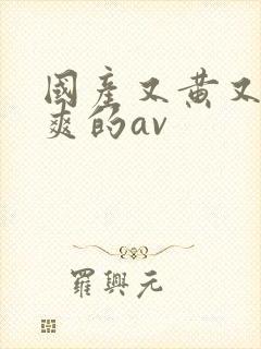 国产又黄又猛又爽的av