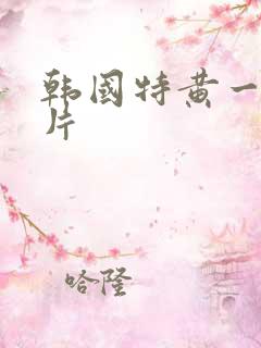 韩国特黄一级大片