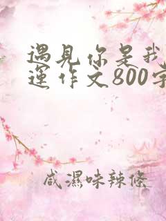 遇见你是我的幸运作文800字初中