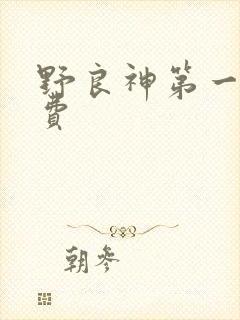 野良神第一季免费