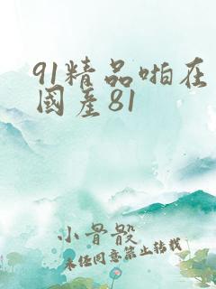 91精品啪在线国产81