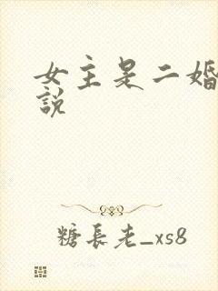 女主是二婚的小说