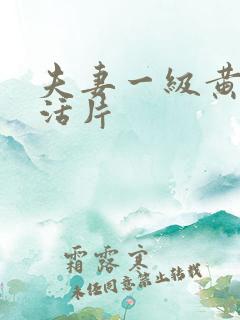 夫妻一级黄色生活片