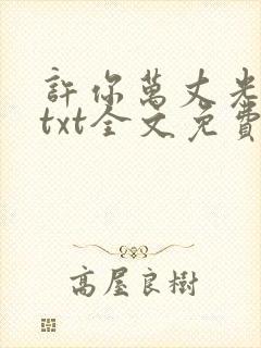 许你万丈光芒好txt全文免费阅读