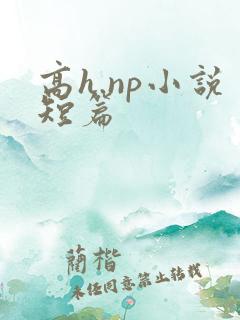 高h.np小说短篇