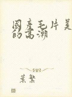 国产毛片美女们的高潮