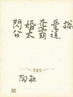 闪婚夺爱总裁老公太霸道