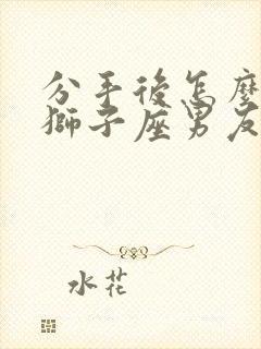 分手后怎么挽回狮子座男友