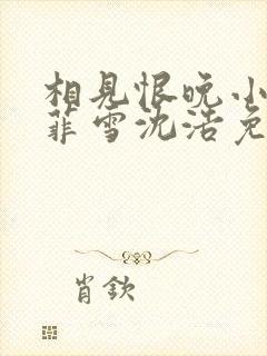 相见恨晚小说秦菲雪沈浩免费阅读