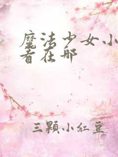 魔法少女小圆好看在哪