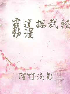 霸道总裁轻点爱动漫