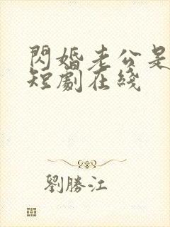 闪婚老公是豪门短剧在线