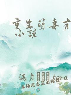 重生萌妻有空间 小说