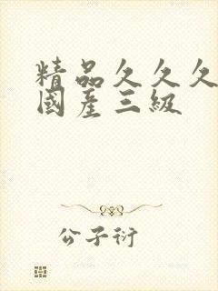 精品久久久久久国产三级