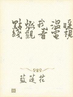 点燃我温暖你在线观看电视剧免费