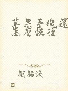 苹果手机还原后怎么恢复