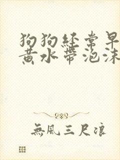 狗狗经常早上吐黄水带泡沫