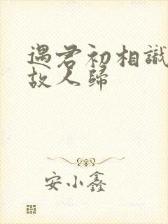 遇君初相识恰似故人归