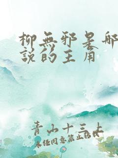 柳无邪是哪本小说的主角