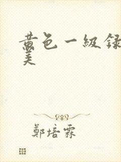 黄色一级录像欧美