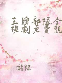 王牌部队全集电视剧免费观看