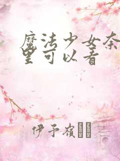 魔法少女奈叶哪里可以看