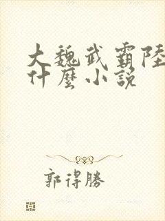 大魏武霸陆泽是什么小说